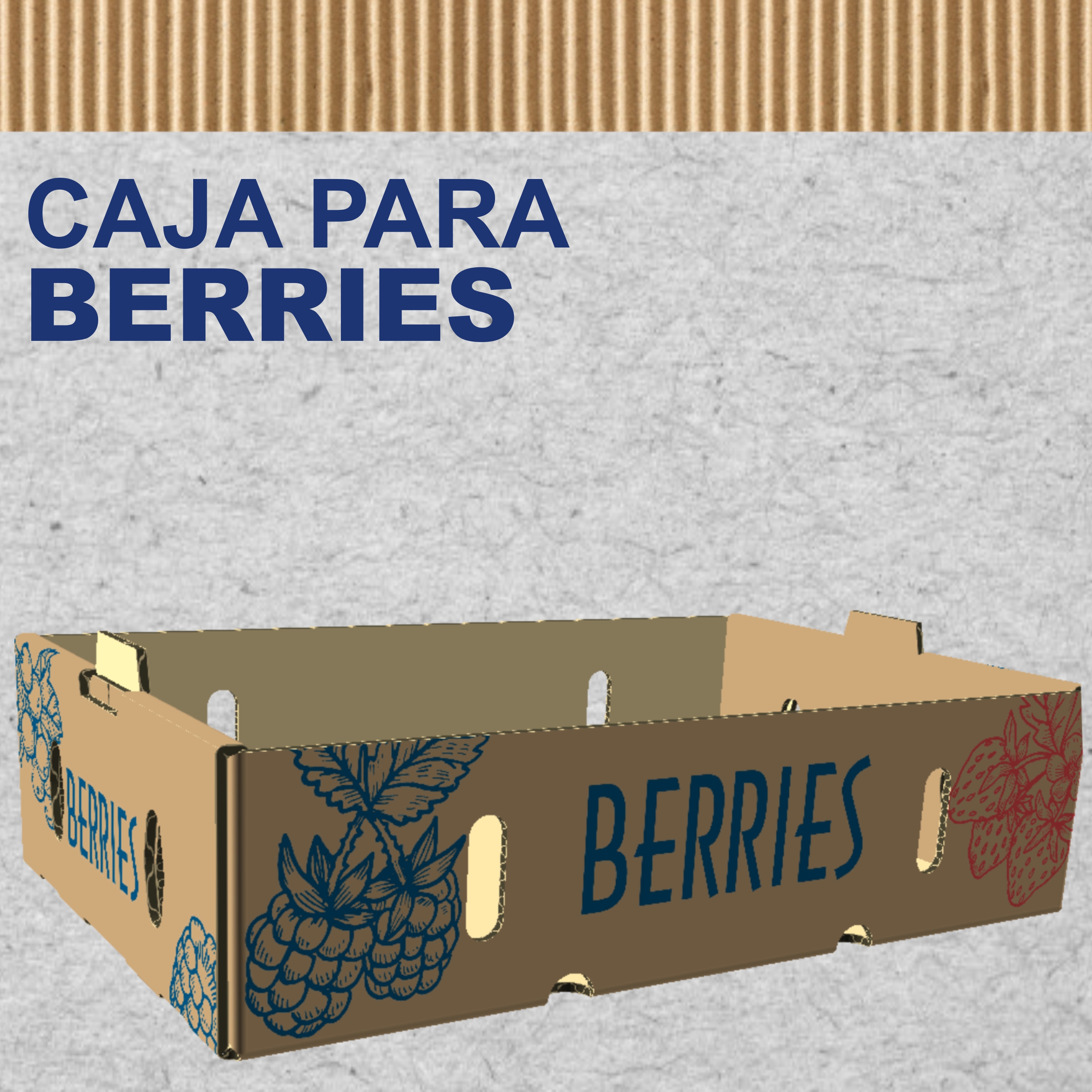 Producto