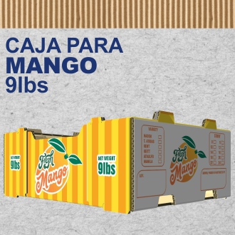 Producto