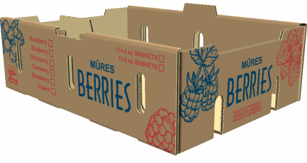 Caja para Berries